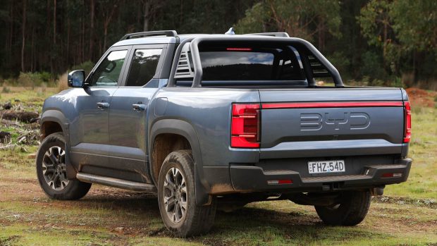 2025 BYD Shark 6 blau hinten 3/4 statisch auf Gras