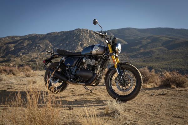 Die „Golden Shadow“-Version des Bear 650