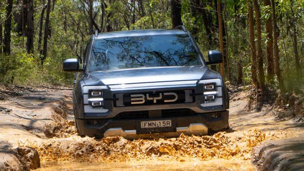 BYD Shark 6 2025 wassernah