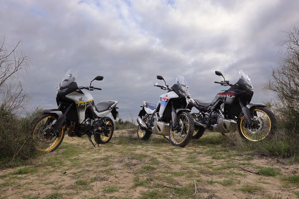 Die drei Farboptionen des 2025 XL750 Transalp