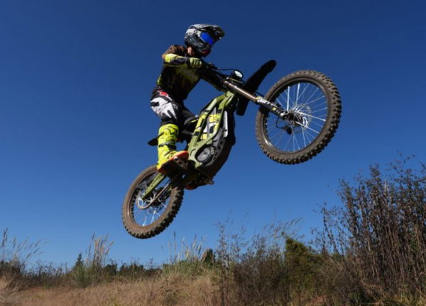 Leichte Biene x in Aktion