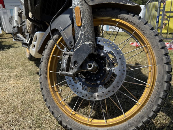 Die Voge DS800X Rallye - Statisch