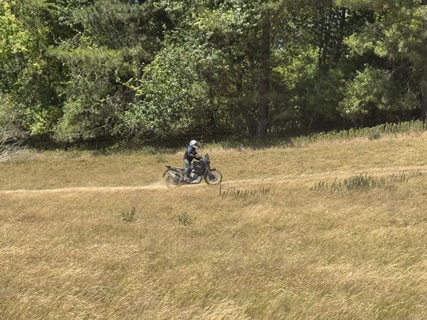 Die Voge DS800X Rallye - Reiten