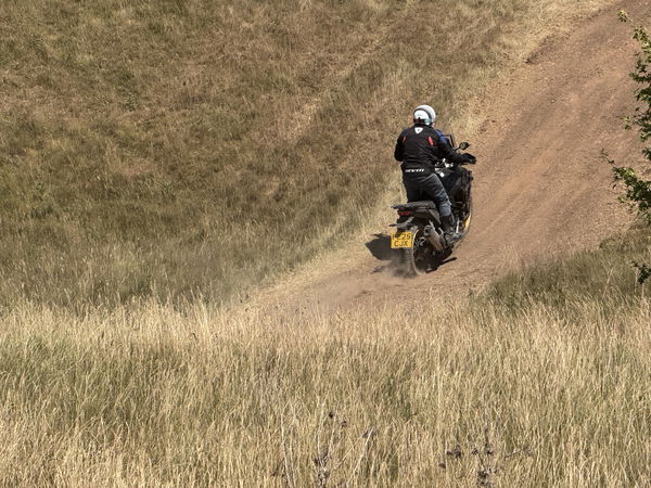 Die Voge DS800X Rallye - Reiten