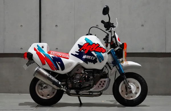 Das Honda Monkey Africa 125 Bodykit - aus Webike