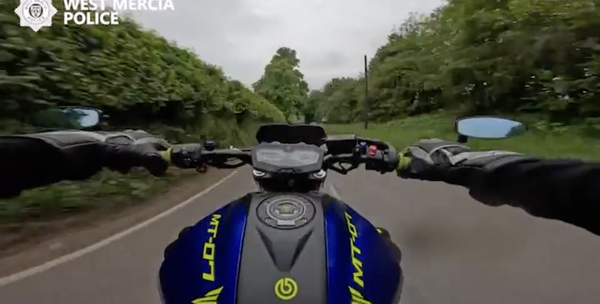 Nicht groß, nicht klug