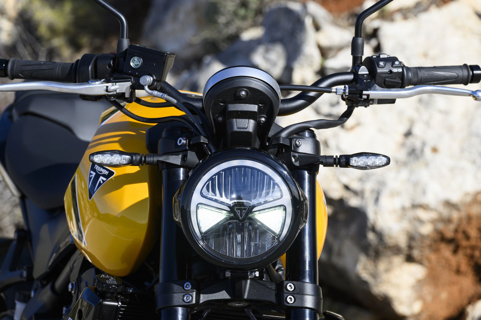 Die Triumph Trident 660 von 2026