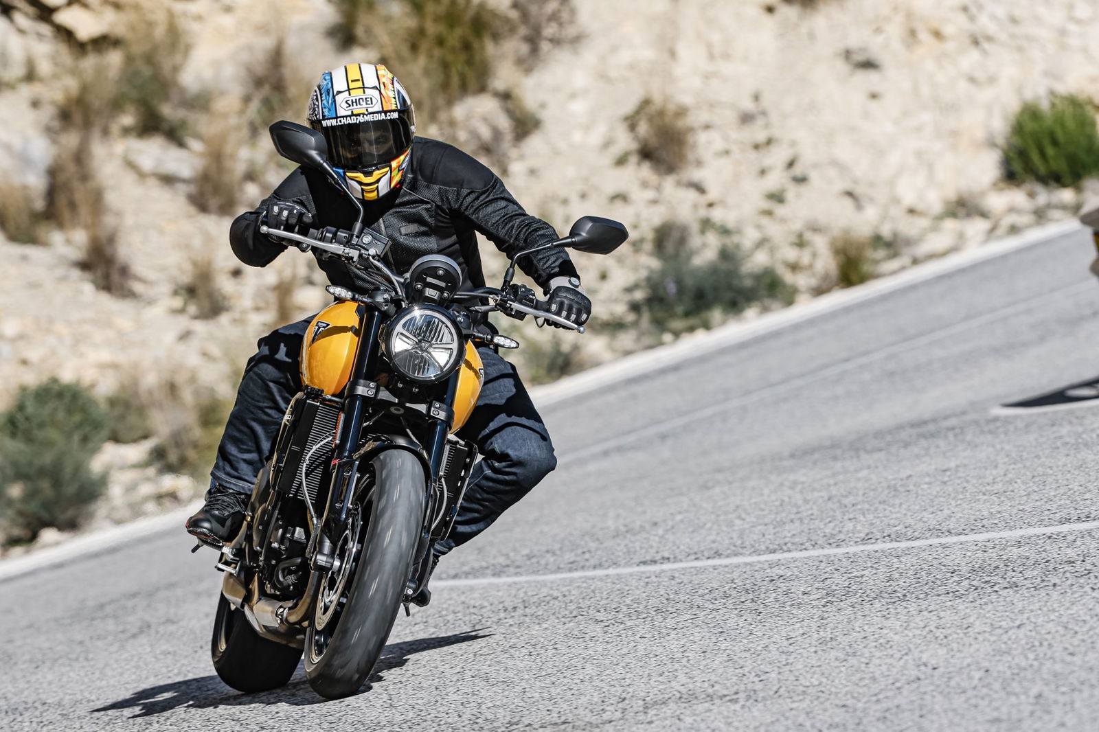 Die Triumph Trident 660 von 2026