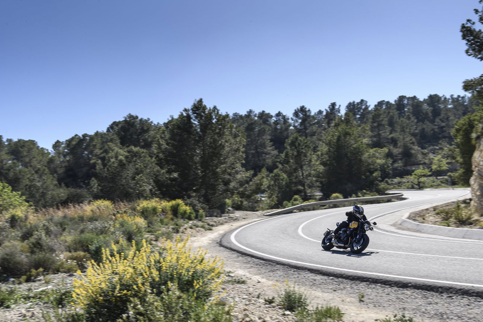 Die Triumph Trident 660 von 2026