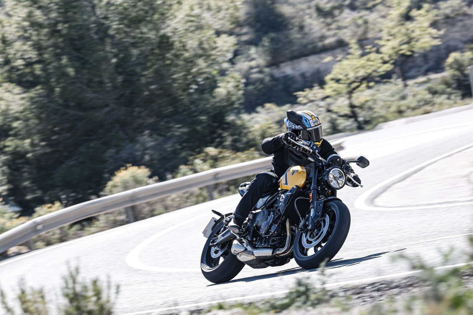 Die Triumph Trident 660 von 2026