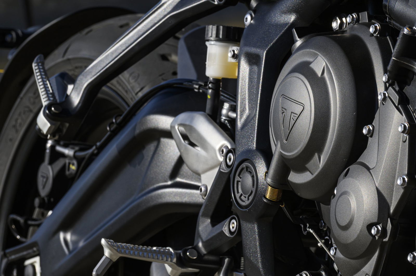 Die Triumph Trident 660 von 2026