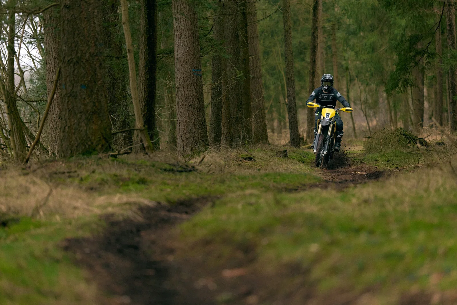Mit dem Radian EXR im Wald fahren