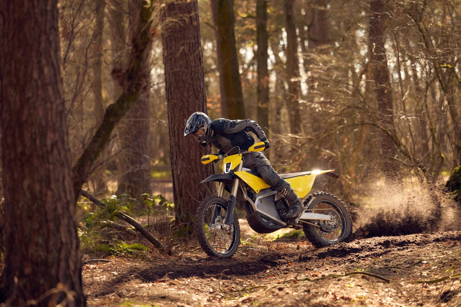 Mit dem Radian EXR im Wald fahren