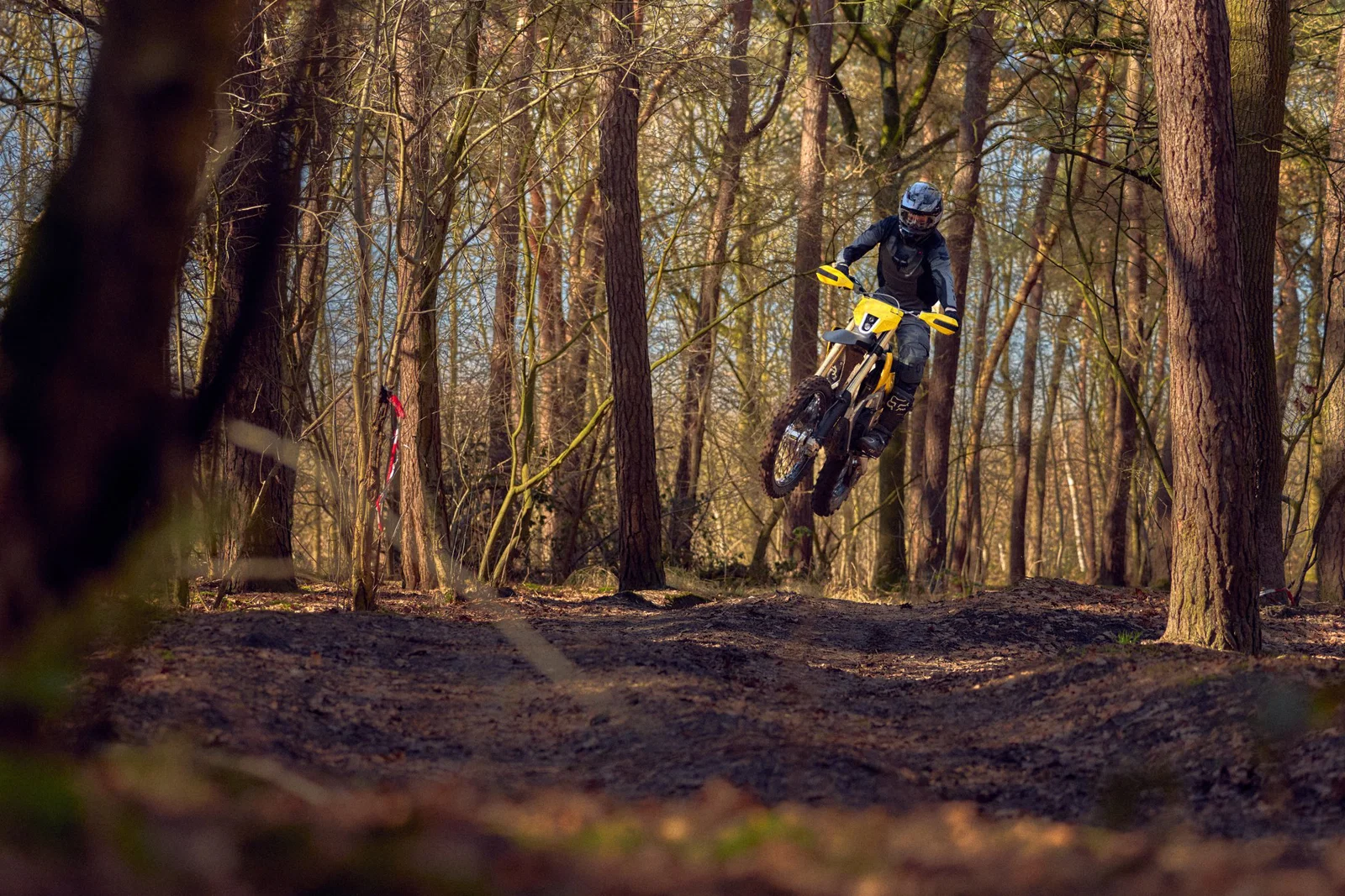 Mit dem Radian EXR im Wald springen