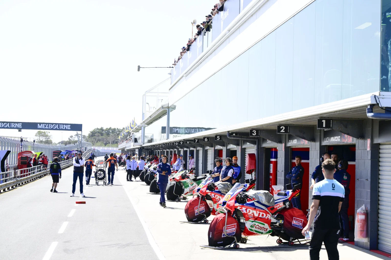 MotoGP-Motorräder auf Phillip Island. Bildnachweis: Gold und Gans.