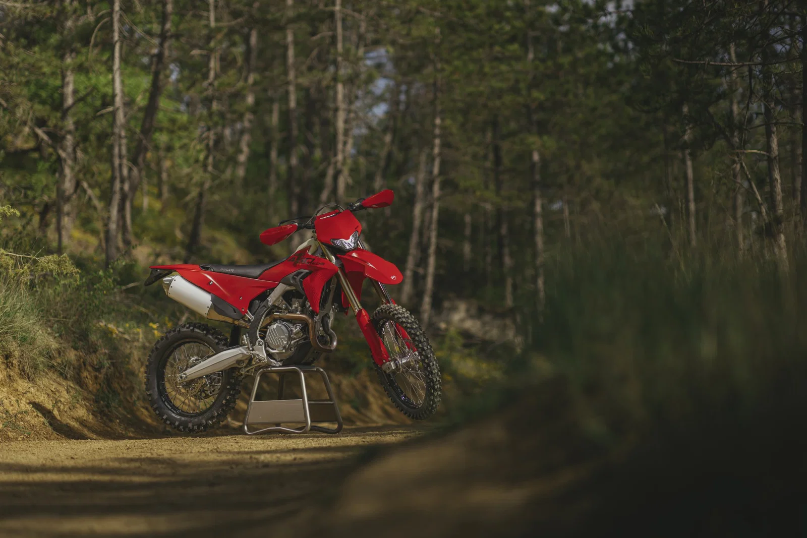 die Ducati Desmo450 EDS – statisch