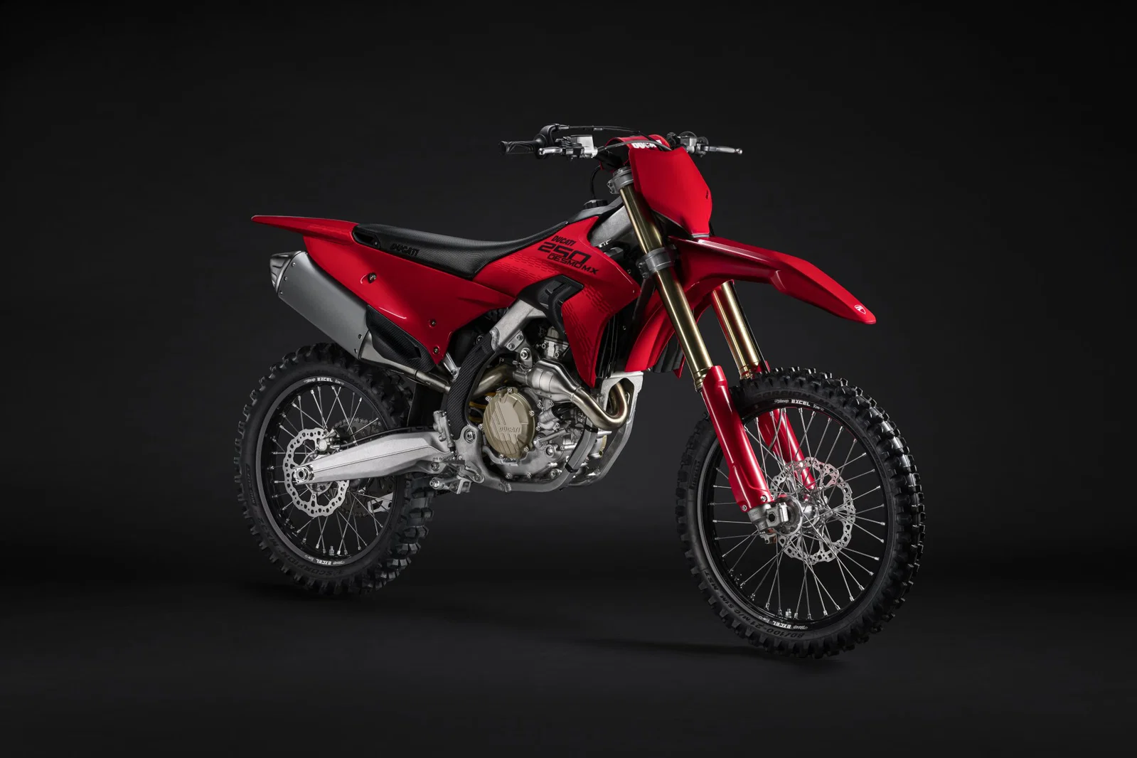 Statische Aufnahme der Ducati Desmo250 MX