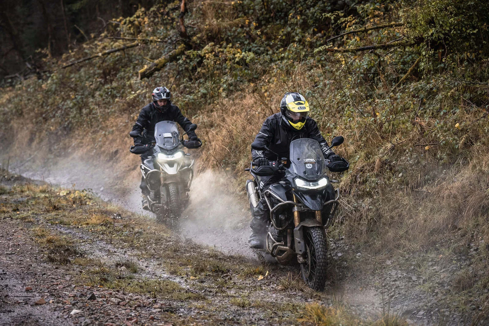 Eine Tiger 1200 bei der TAE