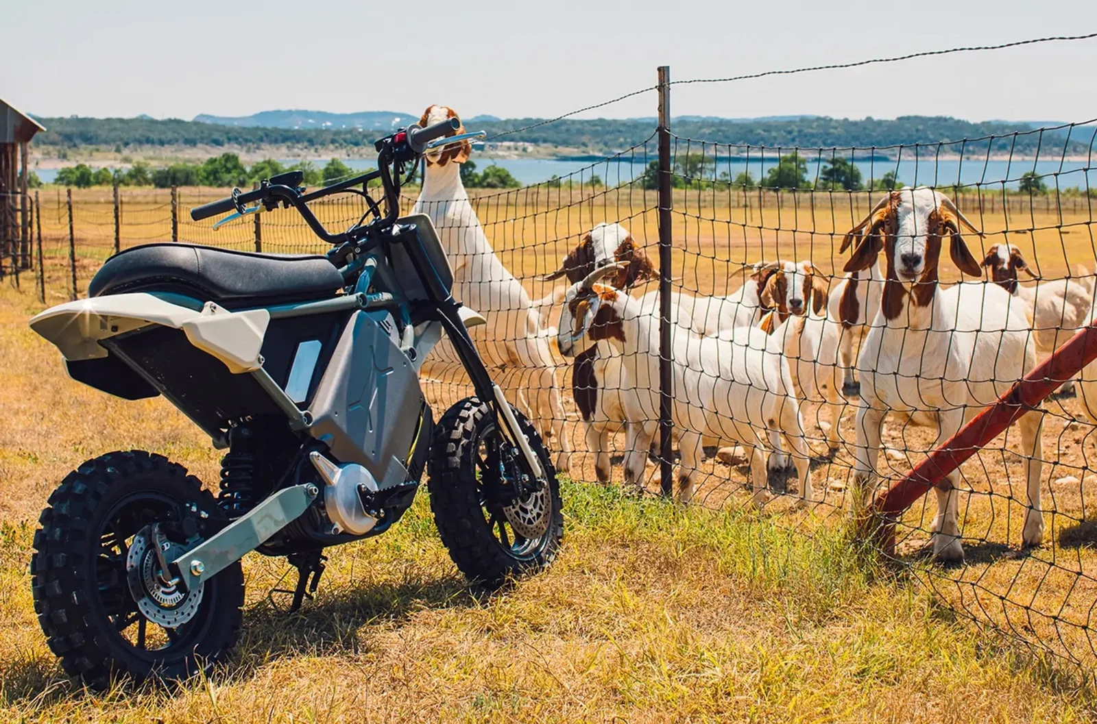 Der LiveWire S4 Honcho Trail