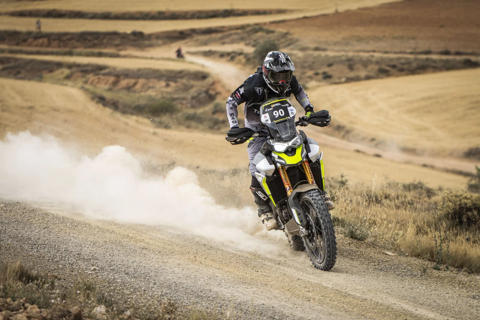 Eine Tiger 900 Rally Pro