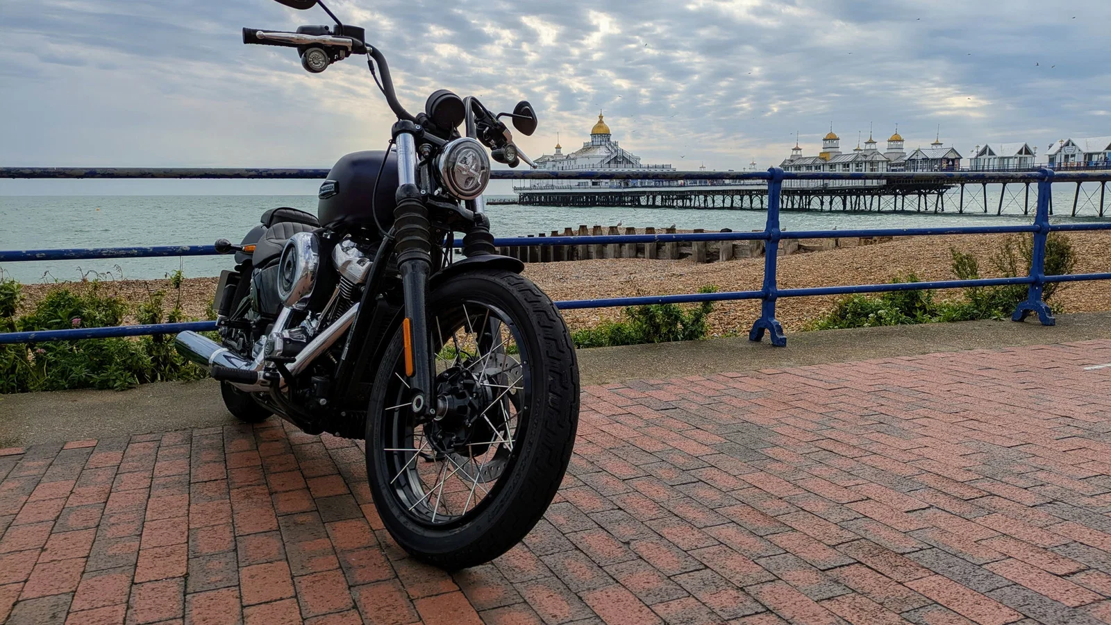 2025 Harley-Davidson Street Bob