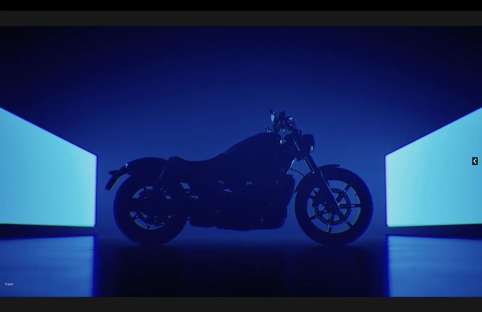 Wahrscheinlich ein Sportster Nightster