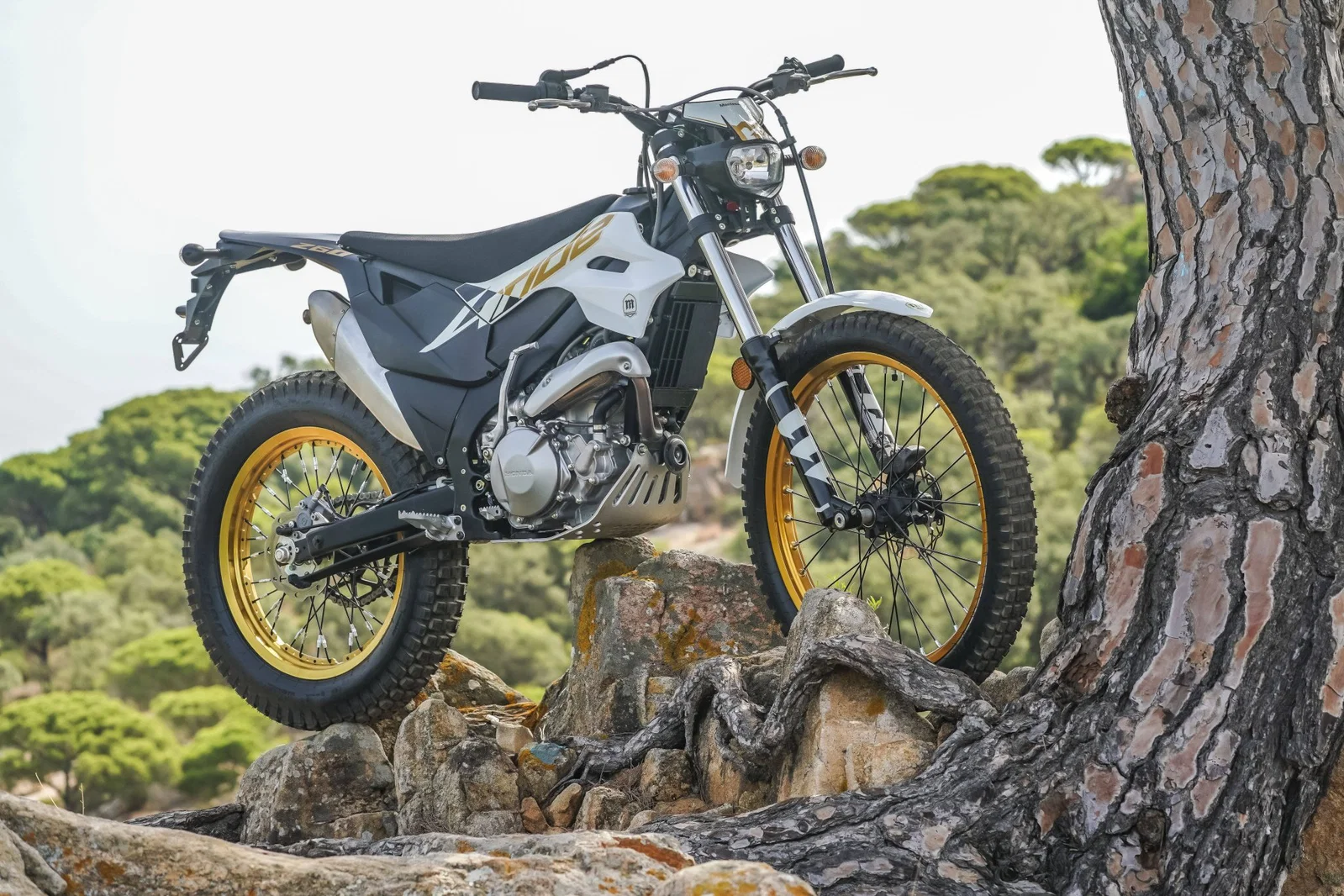 Der Montesa 4Ride 2027.