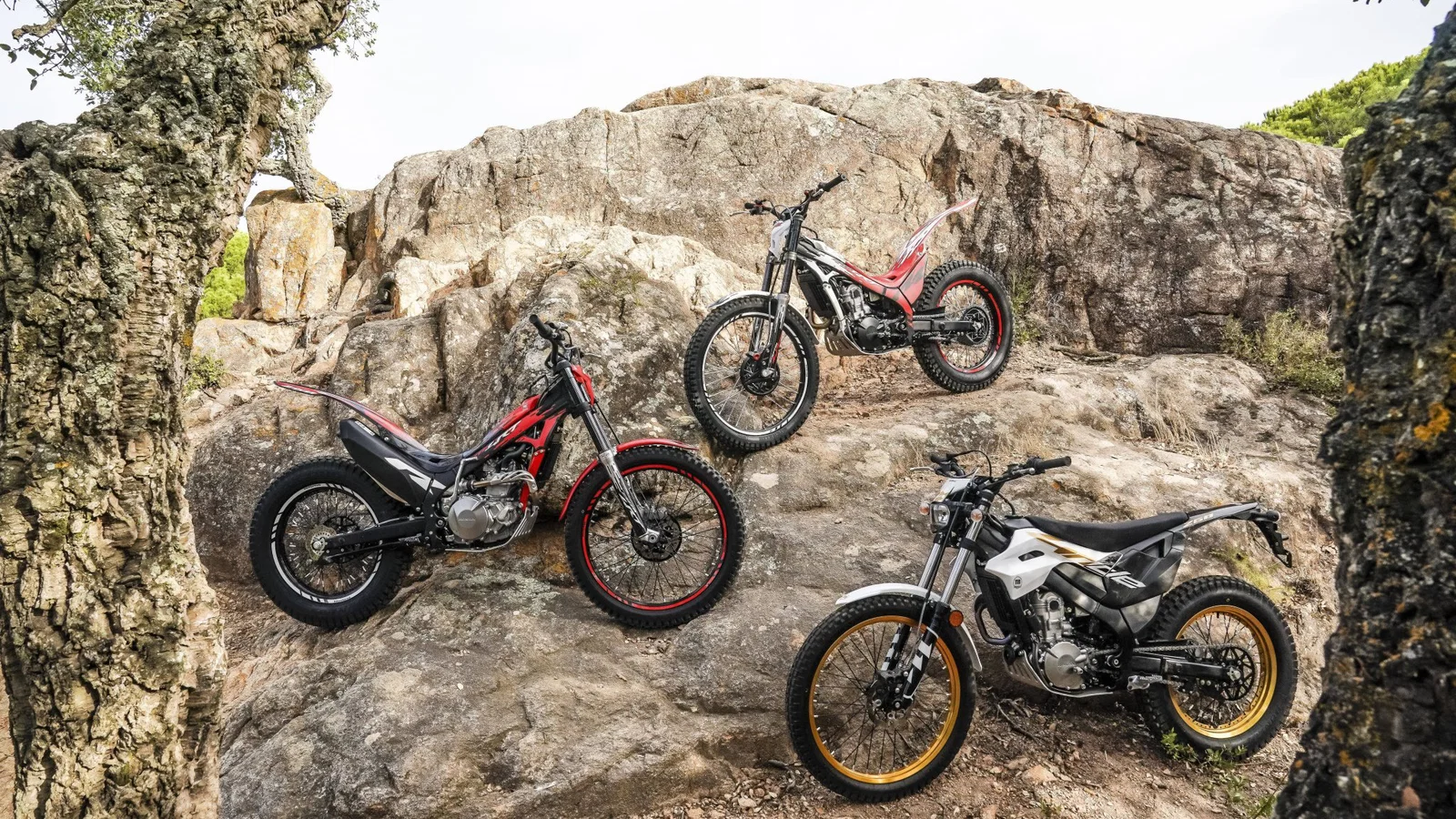 Montesa reveals a lightly refreshed three-model line-up for 2027.