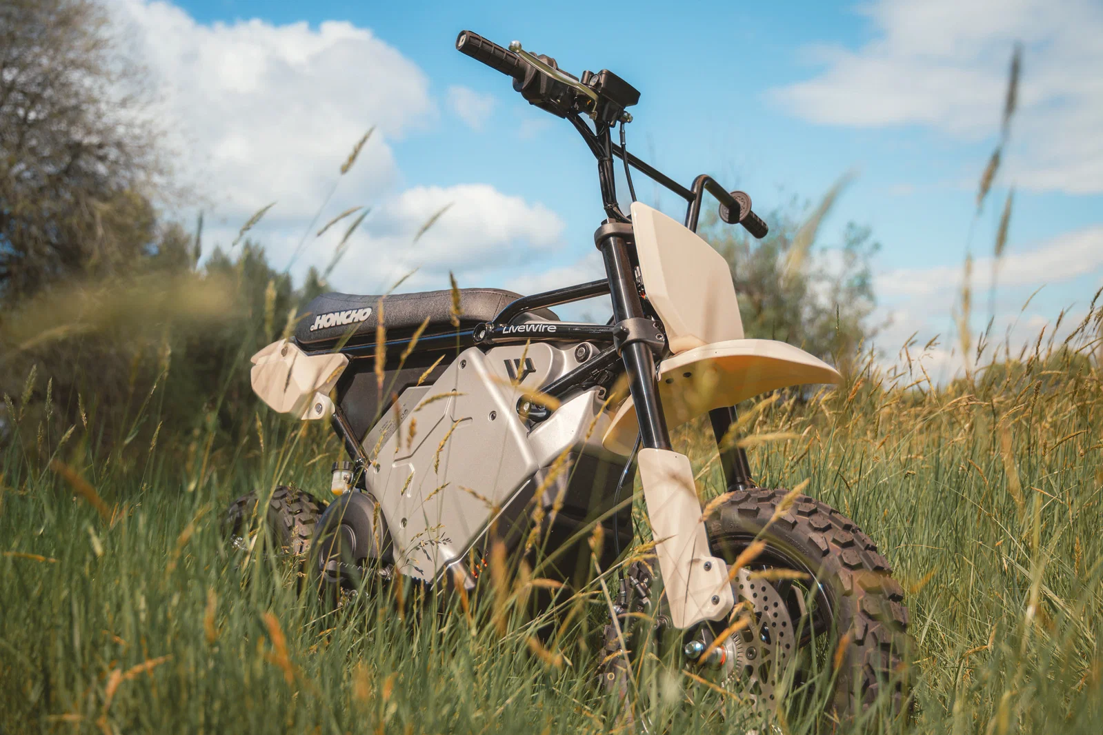 Der LiveWire S4 Honcho Trail