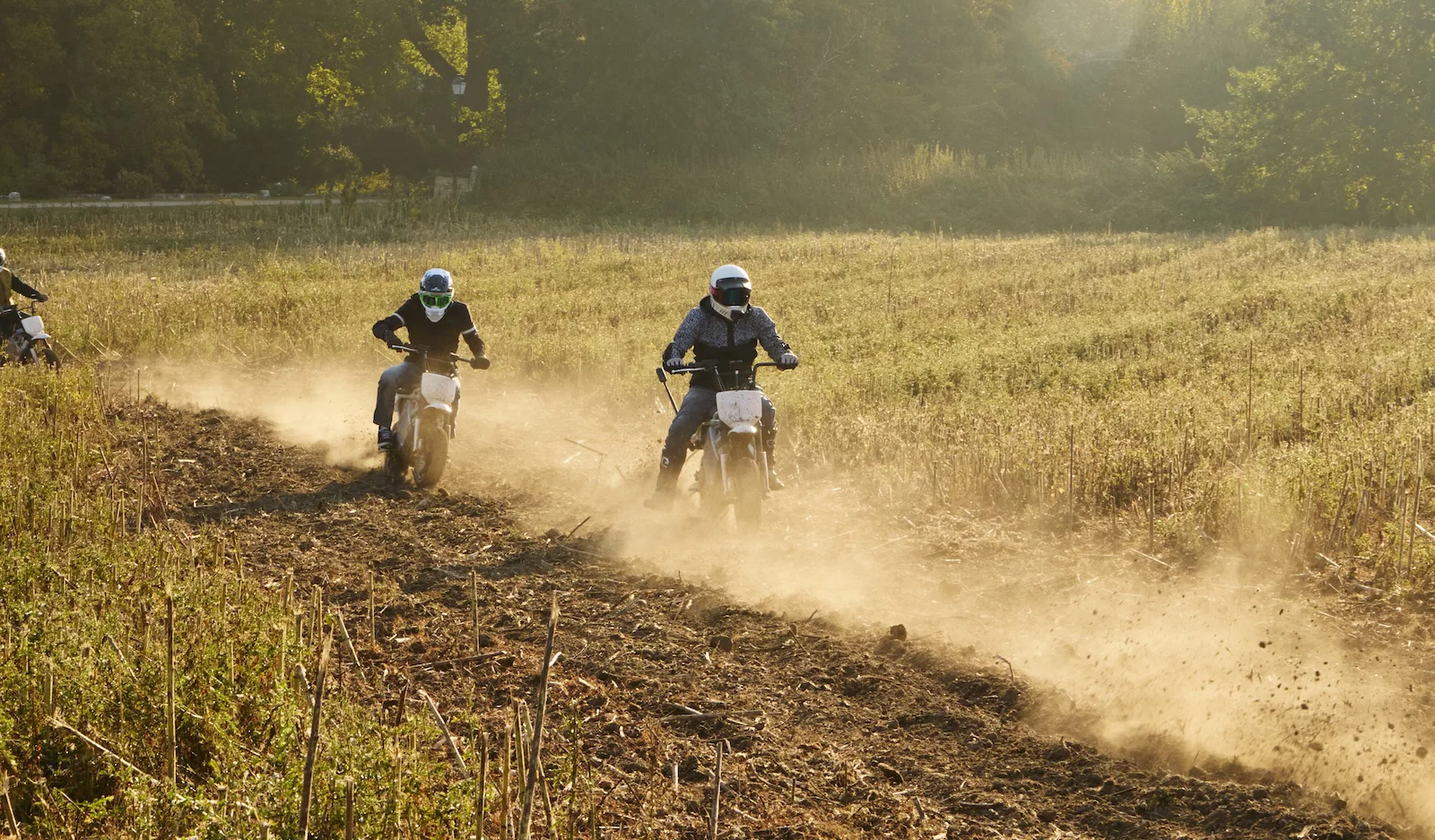 Der LiveWire S4 Honcho Trail – Reiten