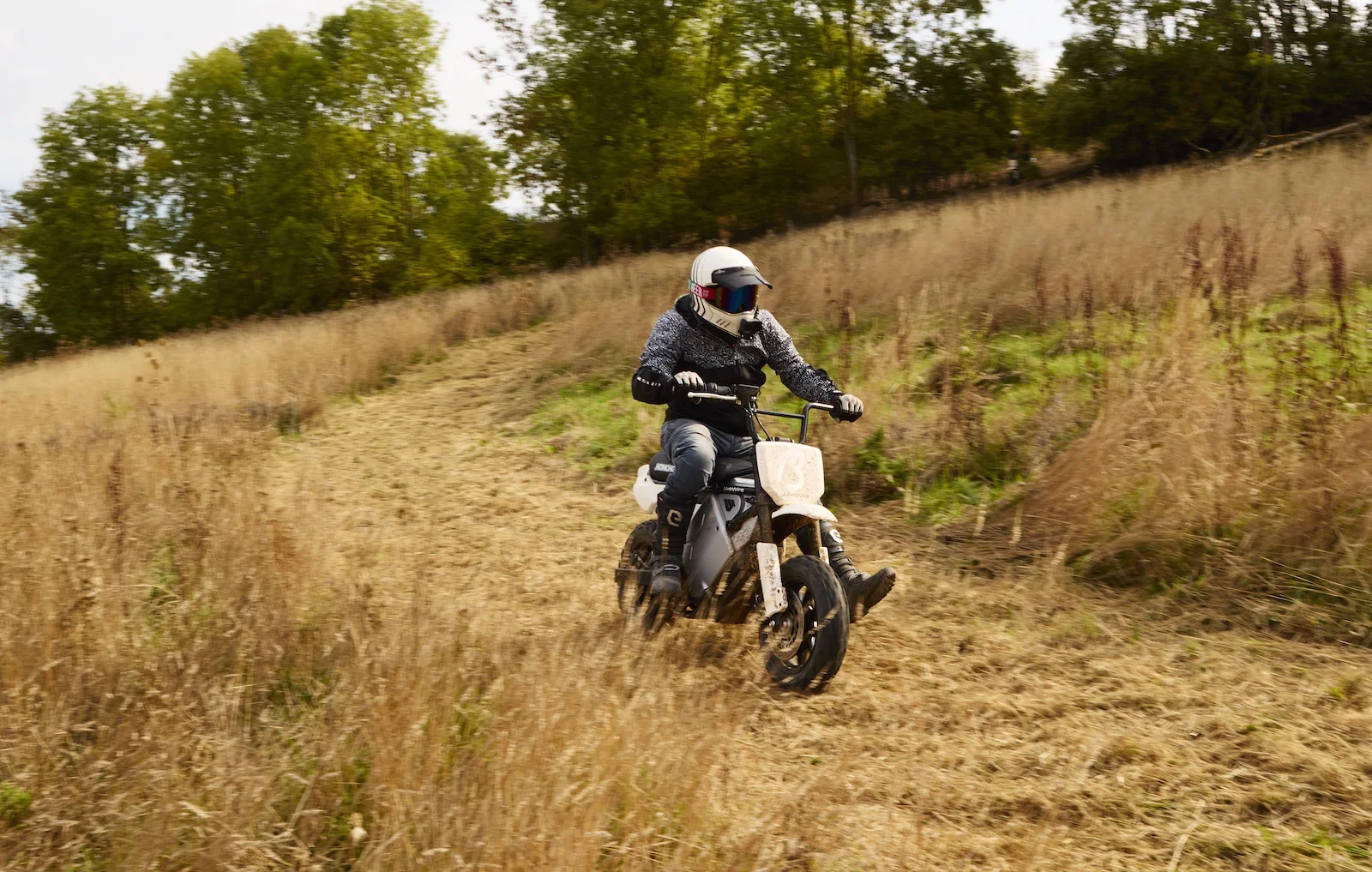 Der LiveWire S4 Honcho Trail – Reiten