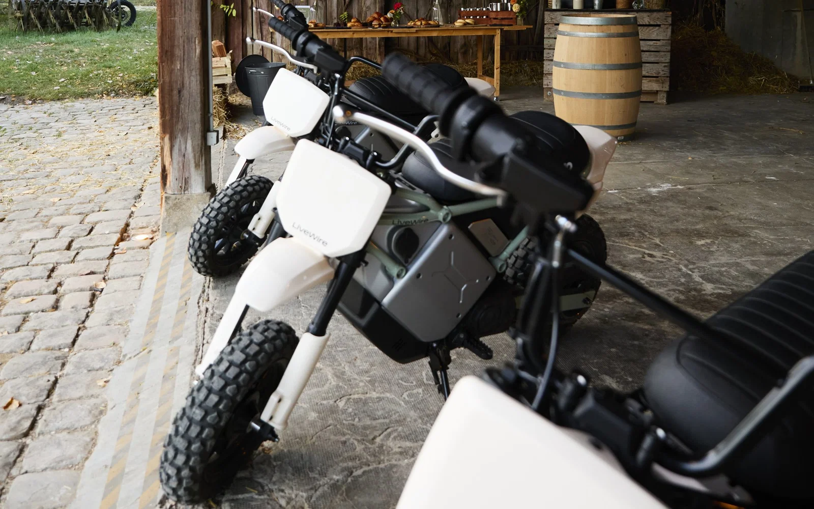 Der LiveWire S4 Honcho Trail – statisch