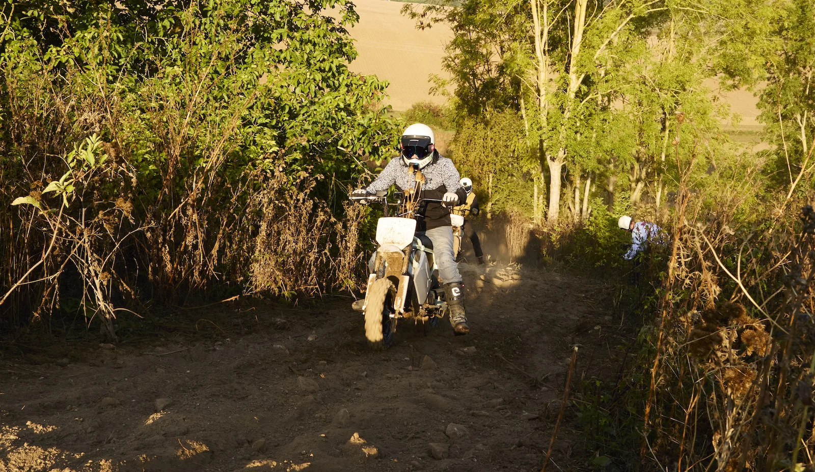 Der LiveWire S4 Honcho Trail – Reiten