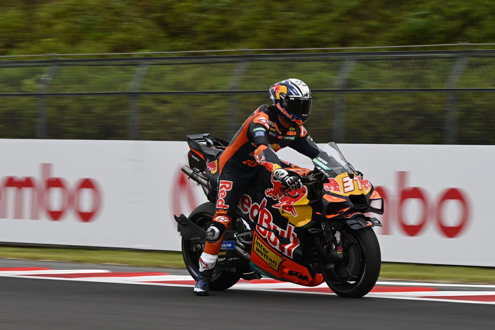 Pedro Acosta reitet in Motegi. Bildnachweis: Gold und Gans.