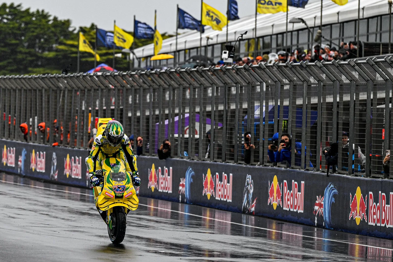 Jack Miller führt auf Phillip Island für seine heimischen Fans einen Stoppie auf.